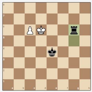 Puzzle 2. End-game. Rook vs pawn. White or black wins? or perhaps a draw?